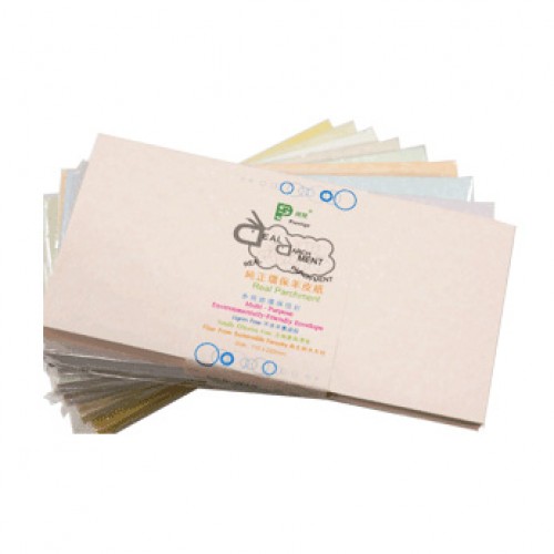 Real Parchment DL Envelope