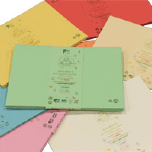 RECYCOLOURS Recycled C5 Envelope